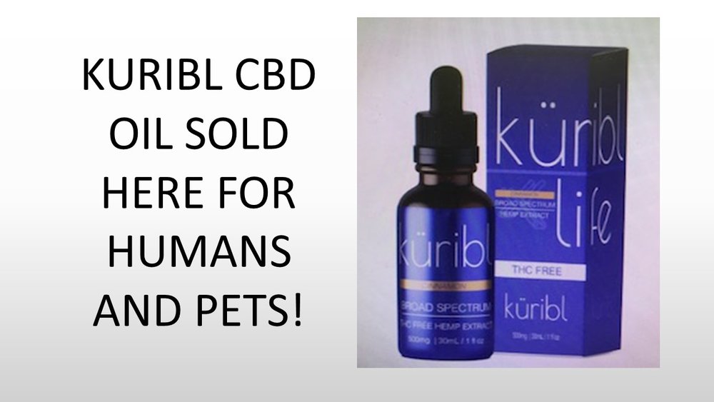 What to Know If You Want to Give Your Dog CBD