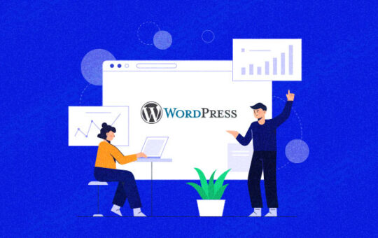 What is Fully Managed WordPress Hosting?